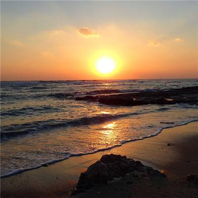 开云·kaiyun体育