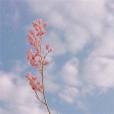 电子娱乐平台游戏大全