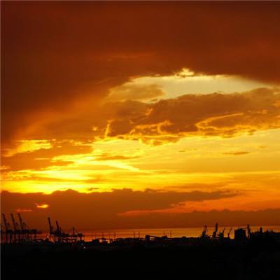 金年会体育app手机注册