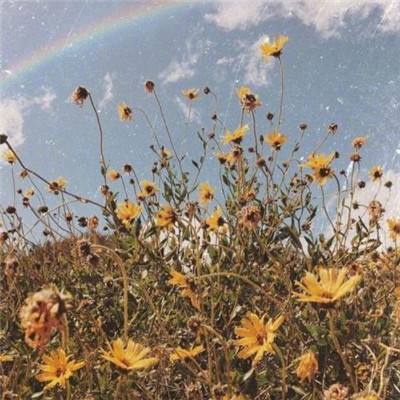 星力正版捕鱼app下载