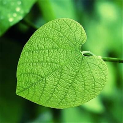 澳门·新葡澳京